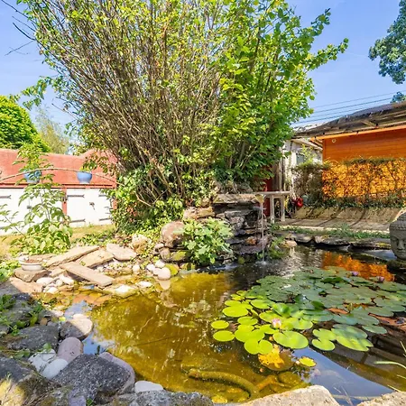 Exclusive ! Maison Avec Jardin Et Stationnement Gratuit *